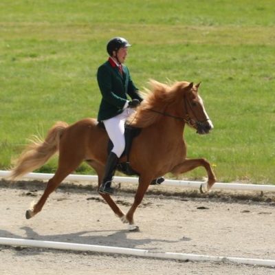 Ísafold frá Kirkjubæ