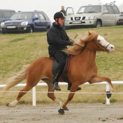 Alparós frá Kirkjubæ