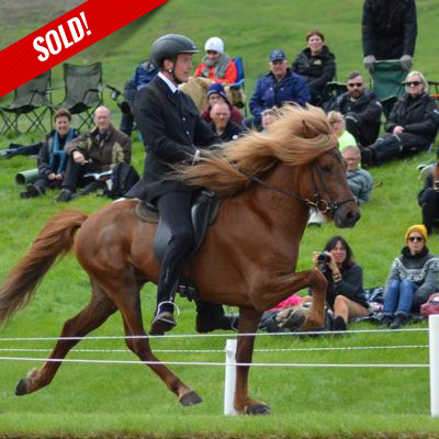 Dropi frá Kirkjubæ