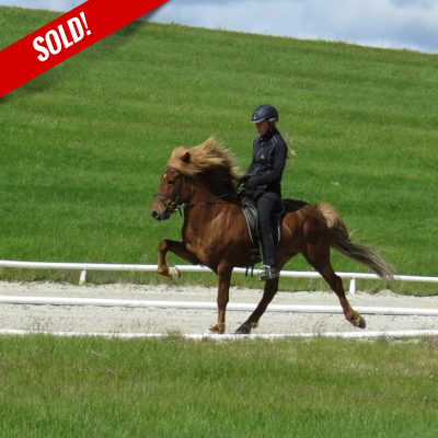 Hafsteinn frá Kirkjubæ