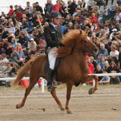 Þyrnirós frá Kirkjubæ